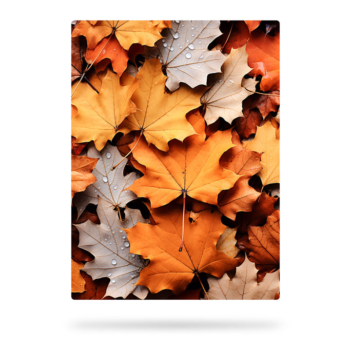 Goldene Jahreszeit - Blätterteppich im Herbst