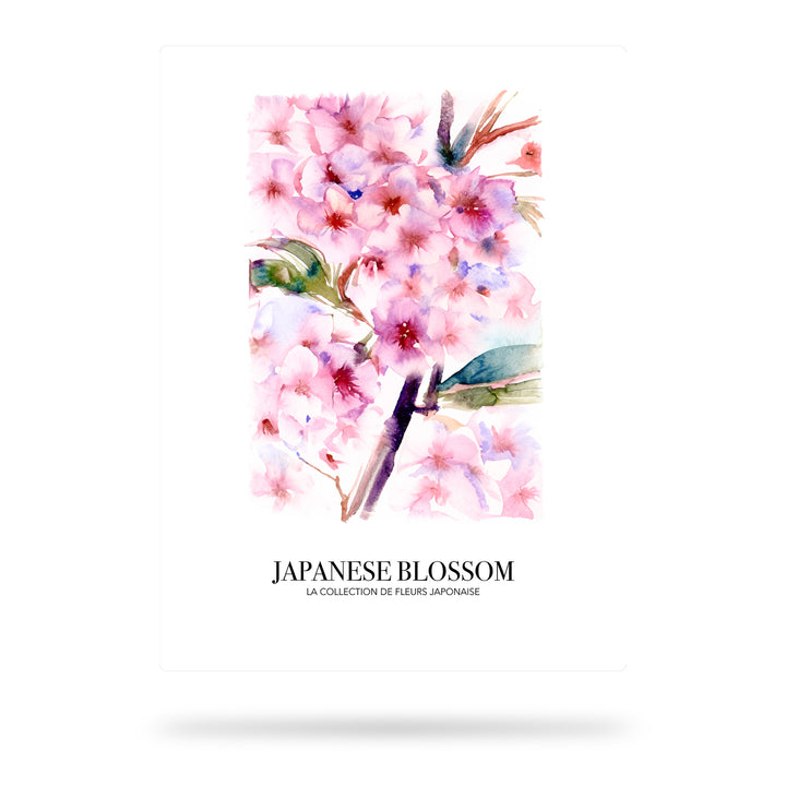 Japanische Blütenkirsche Aquarell - Blumenkollektion