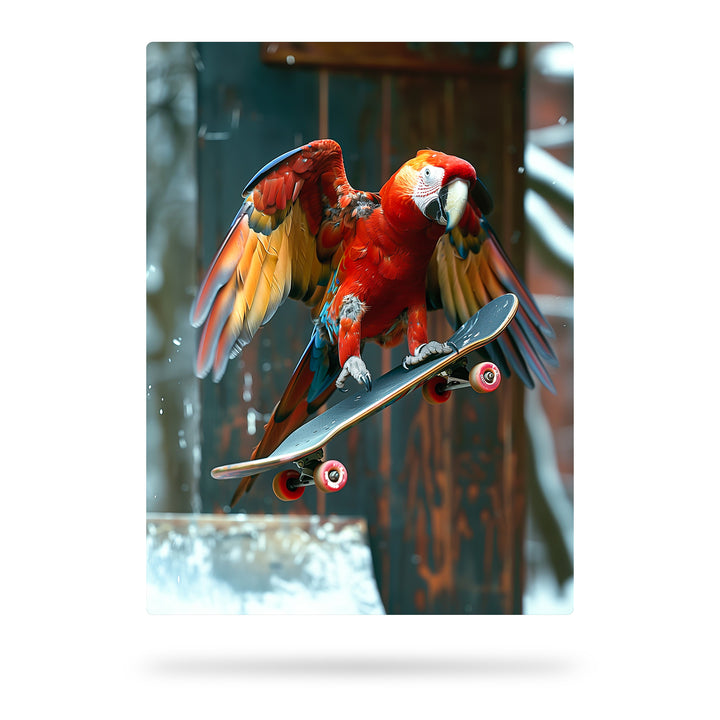 Kickflip - Papagai im Skatepark