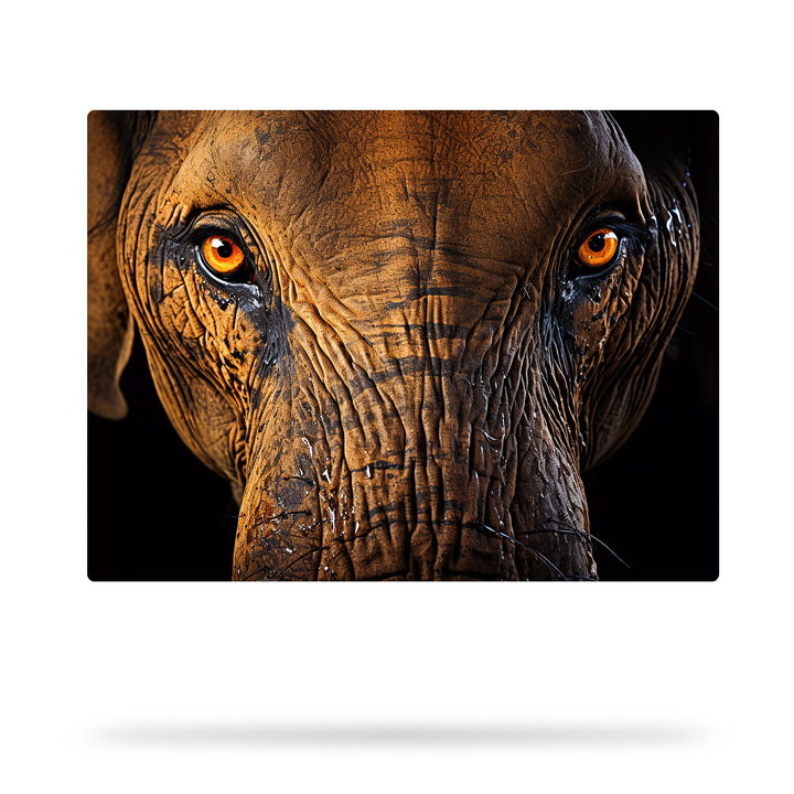 Savannen Elefant - Tiefe Blicke