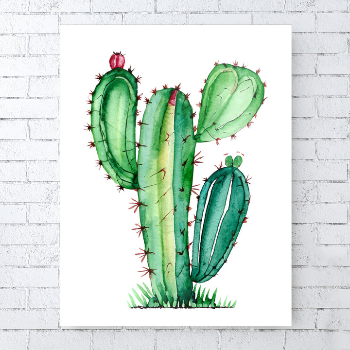 Tropischer Charme - Großer grüner Kaktus