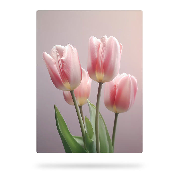 Tulpen im Detail - Erkundung von Farbe und Form