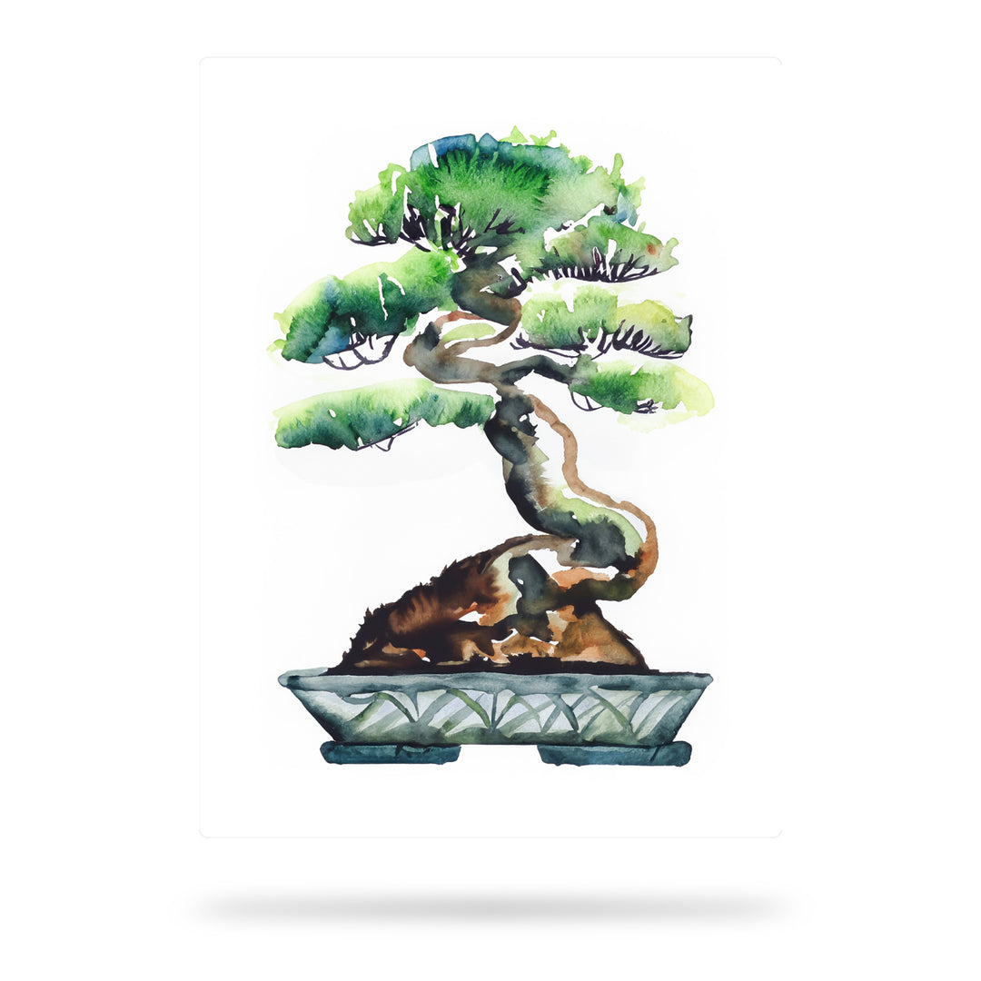 Zen in der Miniatur - Ein Bonsai-Baum in voller Pracht